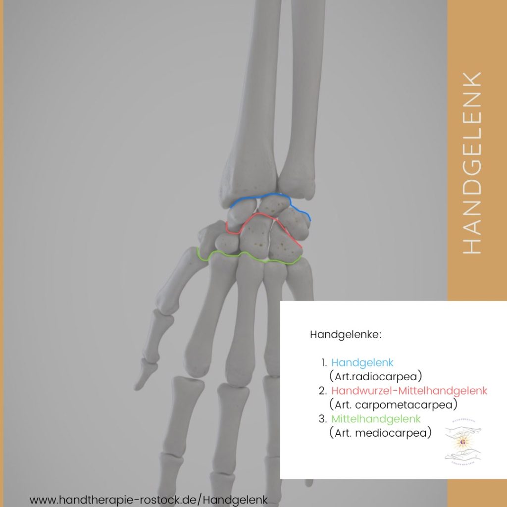 Handgelenk